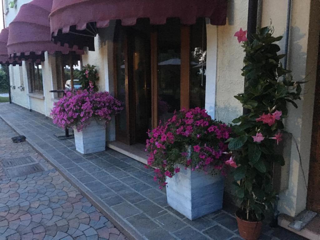 Busco Ca Vittoria Bed & Breakfast エクステリア 写真